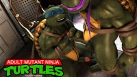 Mutant turtles ninja gay game